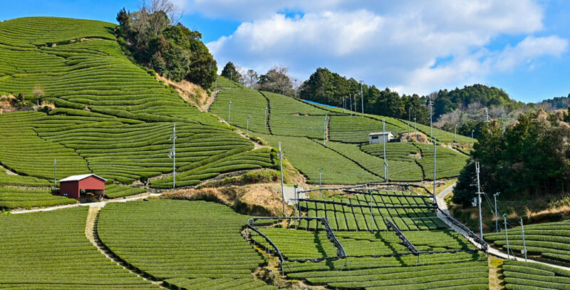 写真:山城・乙訓エリア